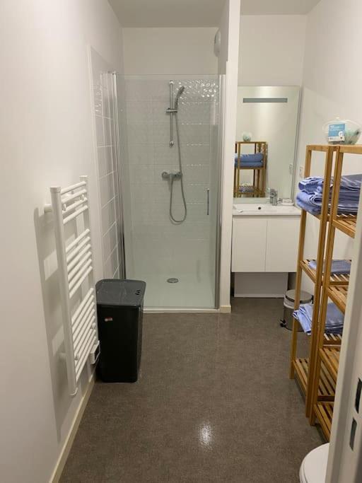 Appartement Aux Portes De Vannes Séné Esterno foto