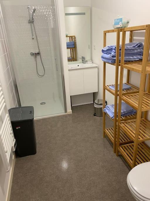 Appartement Aux Portes De Vannes Séné Esterno foto